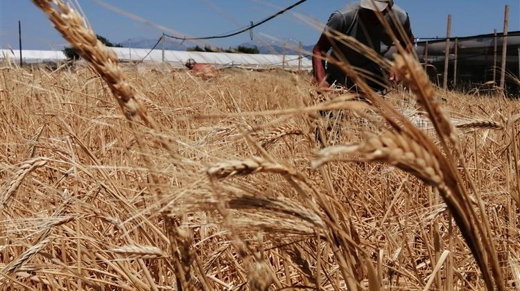 Ένας σιτοβολώνας από τα παλιά, στην τουριστική Ιεράπετρα