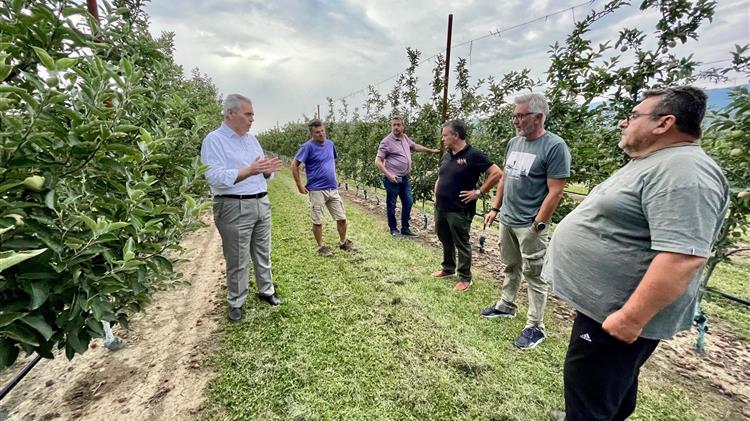 Βελτίωση της αντιχαλαζικής προστασίας και διευκολύνσεις για εργάτες γης