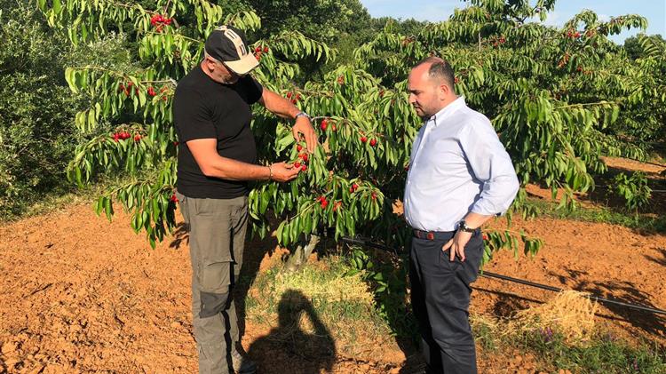 Περιοδεία  Βασιλειάδη σε Τοπικές Κοινότητες της Αλμωπίας & της Έδεσσας