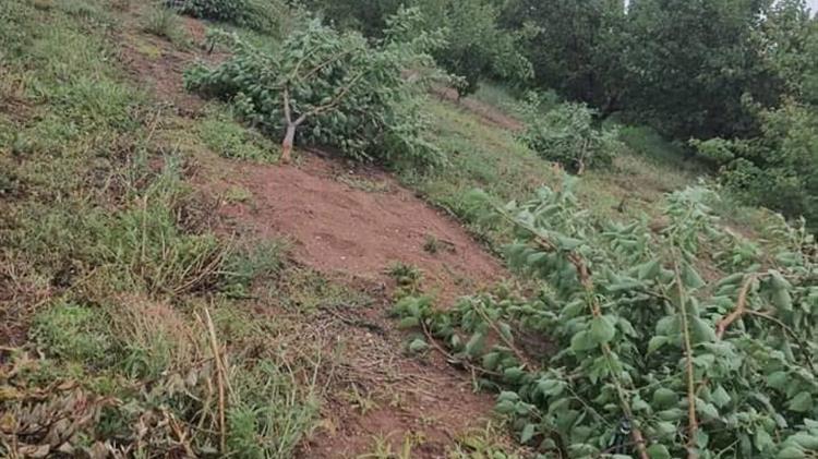 Ζητούν άμεση αποζημίωση των παραγωγών οι βουλευτές της Ν.Δ. στη Θεσσαλονίκη