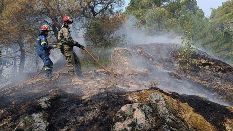 ΑΚΚΕΛ: Θα κινηθεί επιτέλους εισαγγελέας κατά των κυβερνητικών εμπρηστών που έκαψαν το δάσος της Δαδιάς κλπ;
