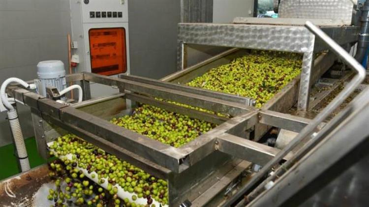 Ολοκληρώθηκε η διαδικασία χορήγησης ενίσχυσης στα ελαιοτριβεία των πυρόπληκτων περιοχών