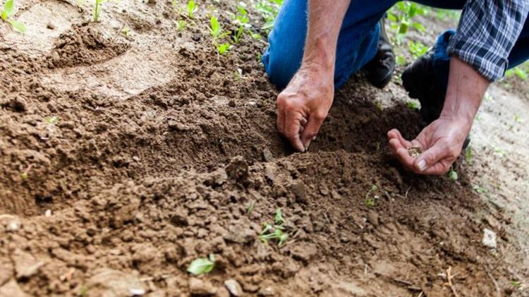 Χρ. Τριαντόπουλος: Ξεκίνησαν οι προκαταβολές 50% και για τους αγρότες