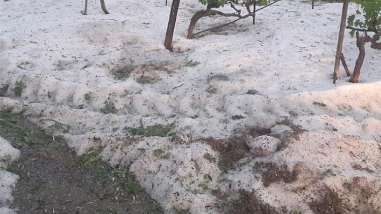 Καταστροφές από το χαλάζι σε καλλιέργειες στον νομό Ξάνθης