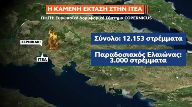 Σύστημα Copernicus: 12.153 στρέμματα κάηκαν στην Ιτέα – 3.000 στρέμματα είναι από τον Ελαιώνα της Άμφισσας