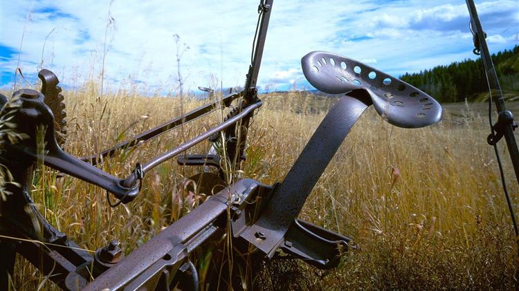 Δόθηκε νέα παράταση αιτήσεων μεταβίβασης δικαιωμάτων βασικής ενίσχυσης