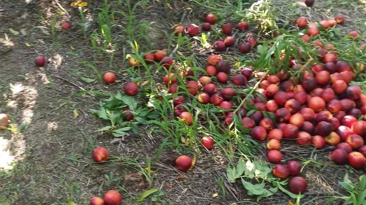 Βασιλειάδης: Γρήγορες και δίκαιες αποζημιώσεις για τους πληγέντες από τις βροχοπτώσεις