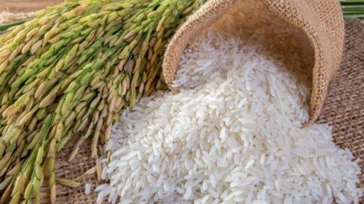 Η παγκόσμια επισιτιστική κρίση: συνέπειες και λύσεις