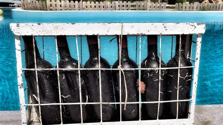 Κρασιά από τον βυθό της Χαλκιδικής στα βάθη της Ιαπωνίας