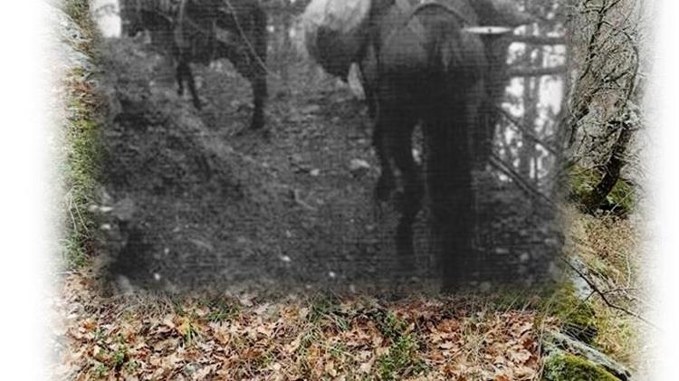 Ο Δρόμος του αλατιού… περνούσε από τα Πιέρια Όρη!!!