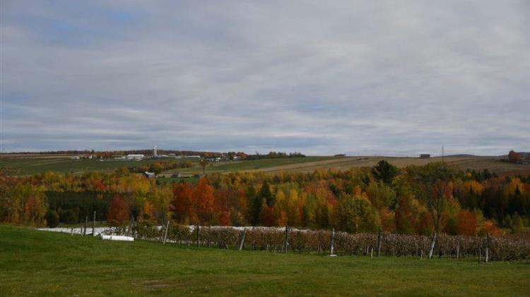 Καναδάς: Το 72% των αγροτών λέει ότι η απόδοση των καλλιεργειών θα πέσει κατακόρυφα