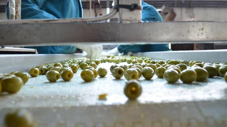 Παρατείνεται η προθεσμία ολοκλήρωσης υλοποίησης των ενταγμένων πράξεων στο πλαίσιο των Δράσεων 4.2.1 και 4.2.2