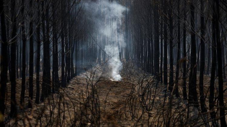 Οι πυρκαγιές καίνε, οι αγρότες σε απόγνωση καθώς ένας άλλος καύσωνας ψήνει τη δυτική Ευρώπη