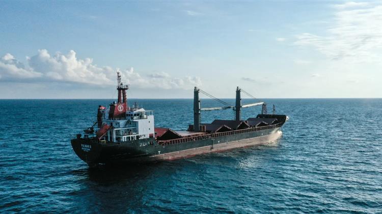 Έφτασε στην Ουκρανία το πρώτο φορτηγό πλοίο με σιτάρι