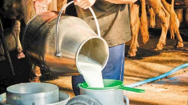 Ηλεία: Σοβαρές ελλείψεις και επαπειλούμενη επισιτιστική κρίση - Τι λένε οι παραγωγοί