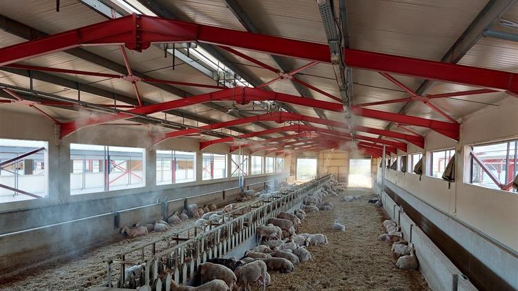 Ε.Ε.: Μείωση 40% των εκμεταλλεύσεων μέσα σε δεκαπέντε χρόνια