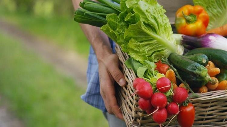 Από το αγρόκτημα στο πιάτο: Νέοι κανόνες για ταχύτερη έγκριση των βιολογικών φυτοφαρμάκων