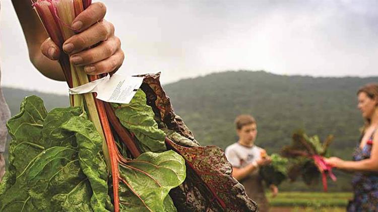 Νέοι αγρότες: Παράταση της προθεσμίας για την υποβολή αιτήσεων