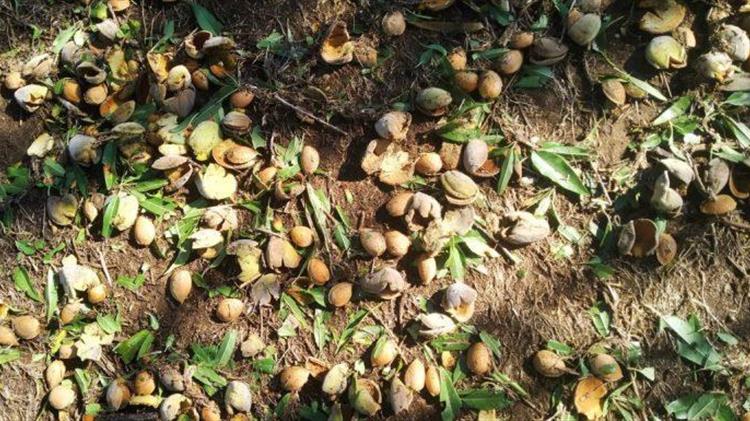 Θεσσαλία: Ξεκίνησε η υποβολή δηλώσεων ζημιών στον ΕΛΓΑ