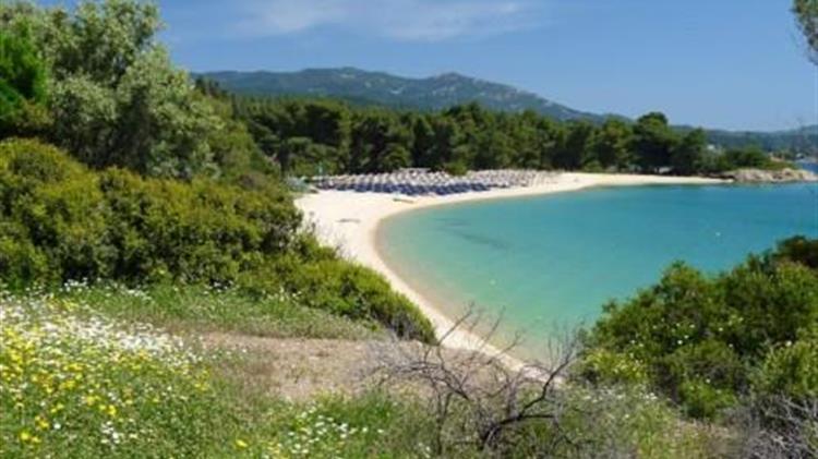 Παρέμβαση της Δασικής Υπηρεσίας για παράνομο  beach bar στη Λαγόμανδρα Χαλκιδικής