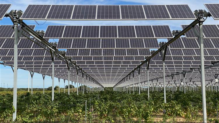 Διπλή σοδειά με αγροβολταϊκά: Παράγοντας φρούτα μαζί με ηλεκτρική ενέργεια