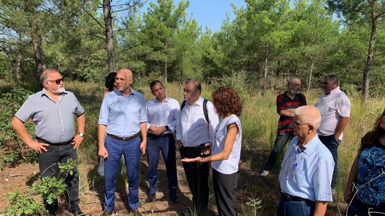 Γ. Αμυράς: «Αναδάσωση με 42.500 πλατύφυλλα στο Σέιχ Σου»