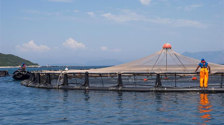 ΕΛΟΠΥ για το Μνημόνιο συνεργασίας για την απασχόληση μεταναστών και προσφύγων σε υδατοκαλλιέργειες