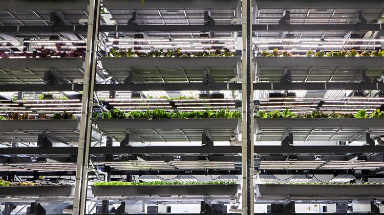 Γεωργία εσωτερικών χώρων: Ακριβή επένδυση στις ΗΠΑ - Απαραίτητα φορολογικά κίνητρα που σχετίζονται με το κλίμα