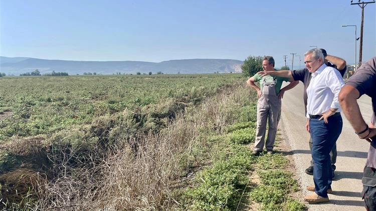 Δίκαιες αποζημιώσεις και επιπλέον συνδρομή σε ντοματοπαραγωγούς