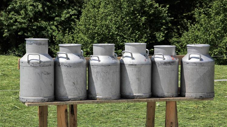 Η μέση τιμή γάλακτος στην ΕΕ μειώθηκε τον Ιανουάριο