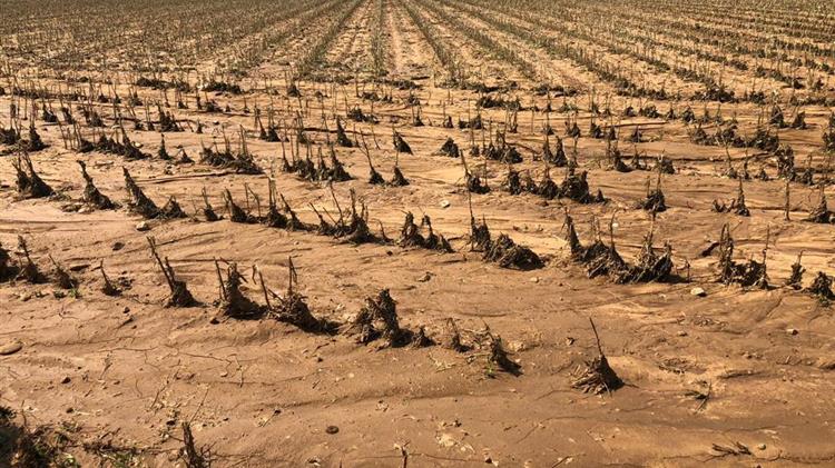 Αγρότες: Στήριξη 100% έως 31 Ιουλίου για αποκατάσταση ζημιών από φυσικές καταστροφές!