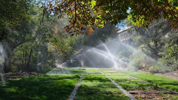 Βρετανία: Νέο μπλόκο στο πότισμα με λάστιχο παρά τις βροχοπτώσεις