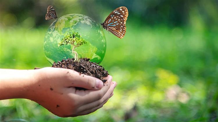 Ξεκίνησε νέο σχέδιο δράσης για την εφαρμογή της στρατηγικής του FAO για την ενσωμάτωση της βιοποικιλότητας σε όλους τους γεωργικούς τομείς