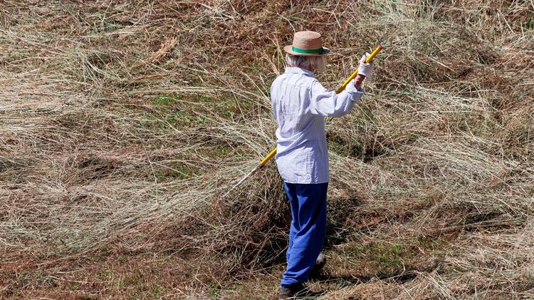 ΣΥΡΙΖΑ:“Με ΝΔ επιστροφή στην εποχή των προστίμων και των καταλογισμών στις Ευρωπαϊκές Επιδοτήσεις; ”