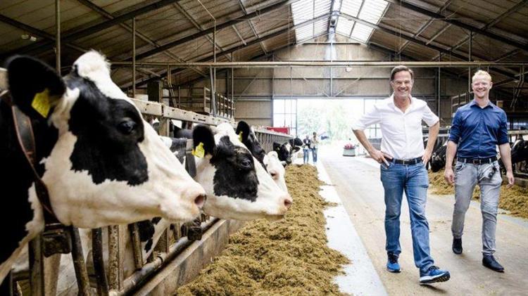 Επικρίσεις στην ολλανδική κυβέρνηση για την αντιμετώπιση της κρίσης του αζώτου