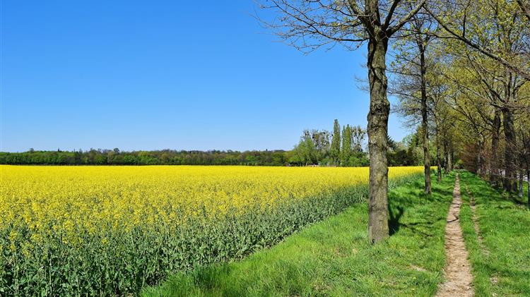 Realigning of public expenditures and increasing investment into agrifood systems transformation is key for sustainable future
