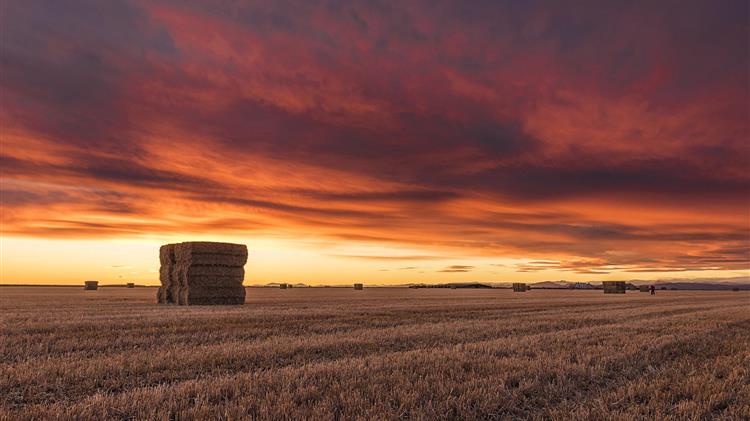 «Φωτιά» το κόστος παραγωγής στην Ελλάδα – Αύξηση 22% τον τελευταίο χρόνο