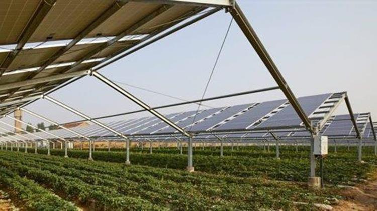 Νέες απαιτήσεις φύτευσης σε φωτοβολταϊκούς σταθμούς