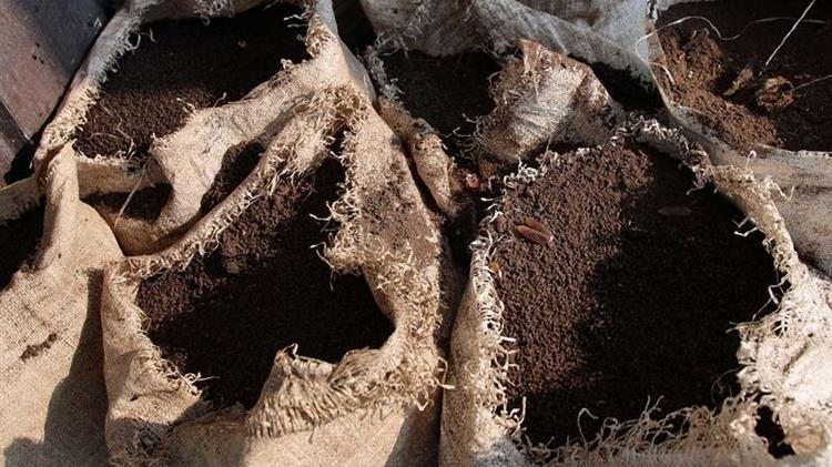 Περού: Στρέφεται στις κουτσουλιές, ως εναλλακτική λύση στην παγκόσμια έλλειψη λιπασμάτων