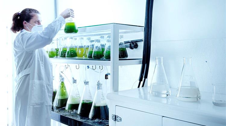 Μνημόνιο συνεργασίας μεταξύ ΕΛΟΠΥ και ΜΙΛΗΤΟΣ