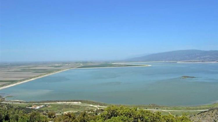 Κοπάδι βοοειδών έβοσκε επί έναν χρόνο στον υγροβιότοπο της λίμνης Κάρλα - Καταδικάστηκε ο κτηνοτρόφος