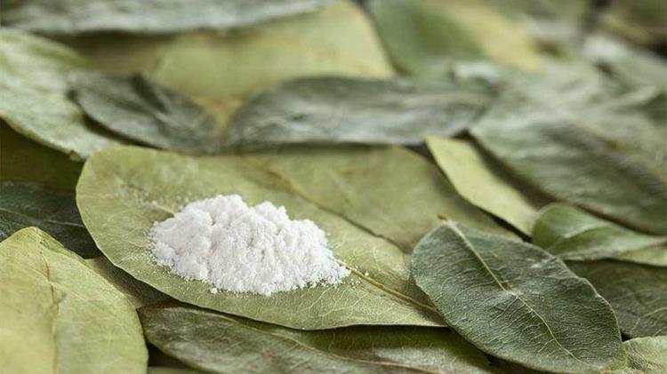 Κολομβία: Ιστορικό ρεκόρ των καλλιεργειών κόκας το 2021