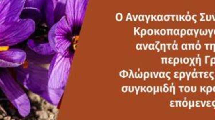 Άμεση ανάγκη για εργάτες γης στον Κρόκο Κοζάνης