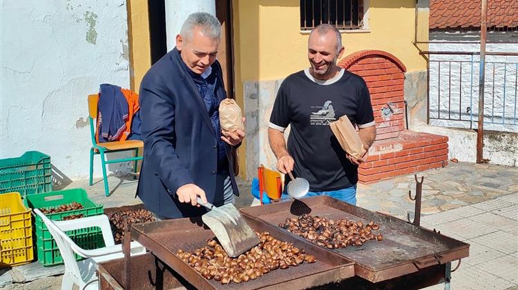 Αναγκαία η στήριξη των καστανοπαραγωγών