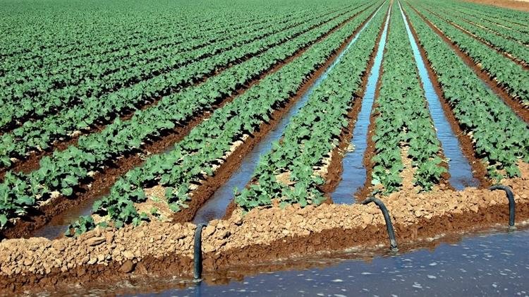 Παράταση στο πρόγραμμα νιτρορύπανσης