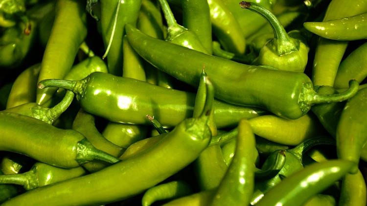 Σβήνει η καλλιέργεια της πιπεριάς «σταυρός»