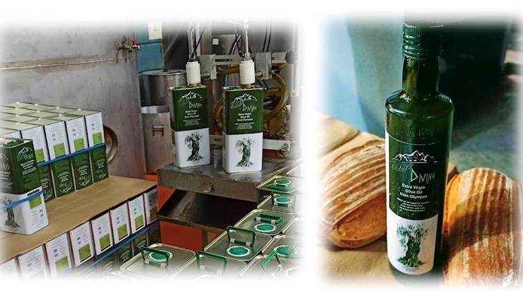 Η «η ισχύς εν τη ενώσει», για τους ελαιοπαραγωγούς του εξαιρετικά παρθένου ελαιόλαδου ¨ΘΕΪΚΟ ΟΛΥΜΠΟΣ¨