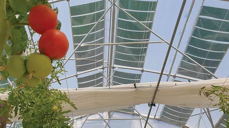 Ανοιχτή εκδήλωση για τα αγροβολταϊκά στο πλαίσιο της  AGROTICA