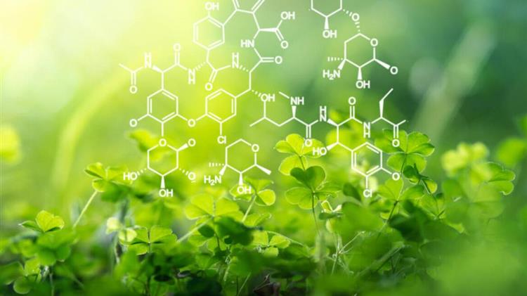 29η Agrotica: Αυξάνεται το ενδιαφέρον για τους βιοδιεγέρτες ως μια νέα τεχνολογία για την ενίσχυση της ανάπτυξης των φυτών