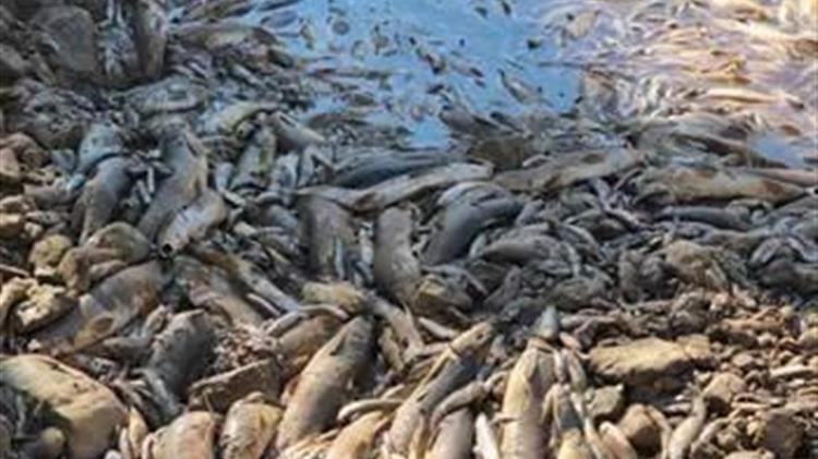 ΠΡΑΣΙΝΟ ΚΙΝΗΜΑ: Εικόνες Ντροπής στην Ήπειρο, στον ποταμό Λούρο